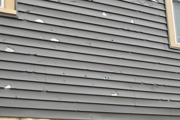 Best Siding for Multi-Family Homes  in Brownsville, PA